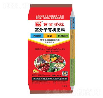 �S����ĸ߷����ЙC(j��)����-����-���{(l��n)����