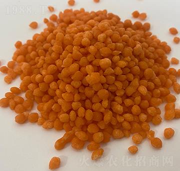 �����@�w������ɫ��-�����r�I(y��)