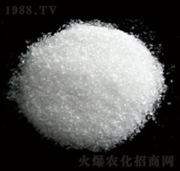 ��ˮ�����VС�w��-�Vï�Ƽ�