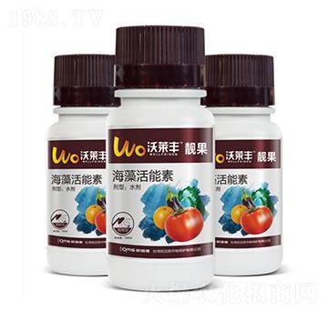 �n��-���R�S-�W�~˼�r(n��ng)�I(y��)