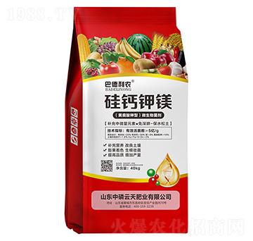 ���}��V-�͵����r-��������