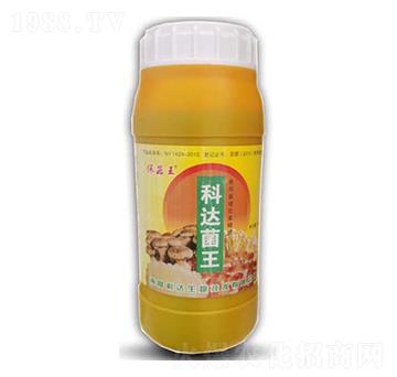 ������������-���_����