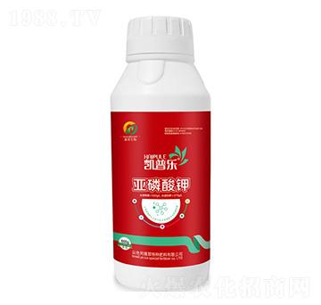 �������-�P�՘�-�Ŵ�����