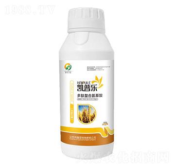 С�����ö������ϰ�����-�P�՘�-�Ŵ�����