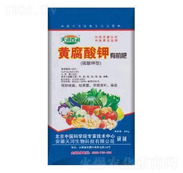 �S������ЙC��-��ӷʘI(y��)