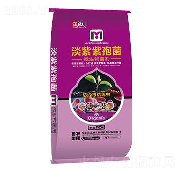 �������߾�-�Z�ɑ�(zh��n)��-���r(n��ng)���F(tu��n)