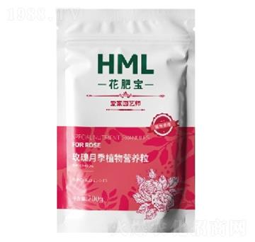 õ���¼���ֲ��I�B(y��ng)��-���ʌ�-�S���X