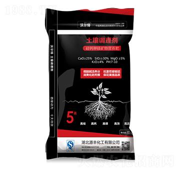 �����{�턩-�֠���-Դ�S����