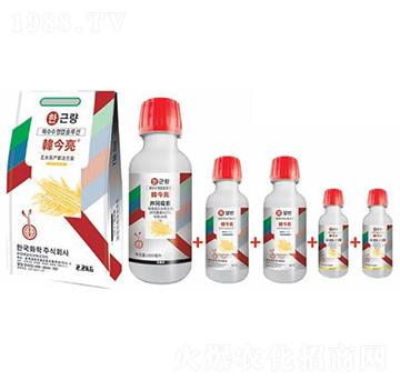 玉米高產(chǎn)解決方案-韓今亮-韓友化學