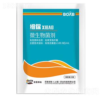 ��(x��)��΢�������-�ڶ����