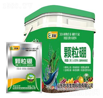 �w����-�䳲-���r(n��ng)����