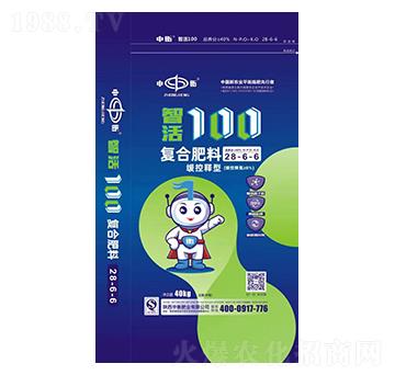 �ǻ�100��(f��)�Ϸ���28