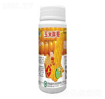 �����ָ�-���S�Ƽ�