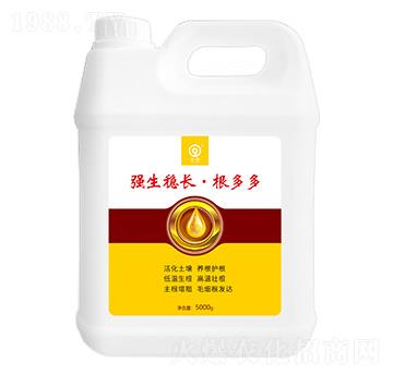 ������(w��n)�L�������-���S�Ƽ�