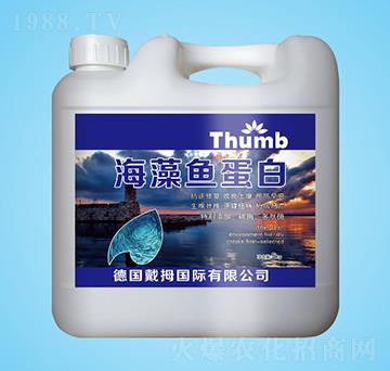 �����~����-����r(n��ng)�I(y��)