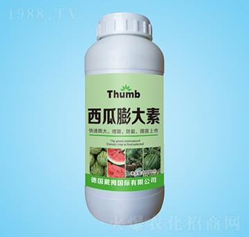 ���������-����r(n��ng)�I(y��)