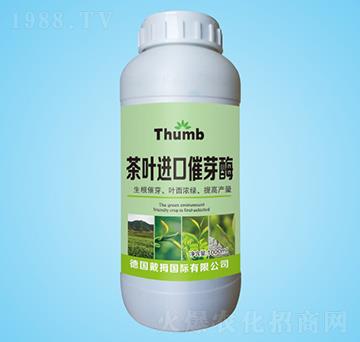 ���~�M�ڴ�ѿø-����r(n��ng)�I(y��)