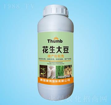 ���������a(ch��n)�����-����r(n��ng)�I(y��)