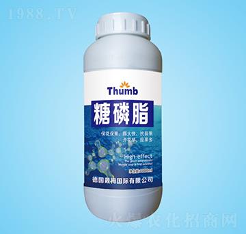 ����֬-����r(n��ng)�I(y��)