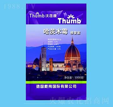 ����ľù���ܼ�-����r(n��ng)�I(y��)