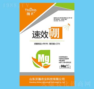 ��-��l(w��i)-����r(n��ng)�I(y��)