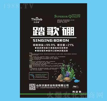 ̤����-������-����r(n��ng)�I(y��)