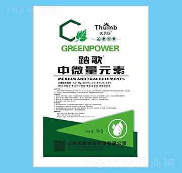 ��΢��Ԫ��-̤��-����r(n��ng)�I(y��)