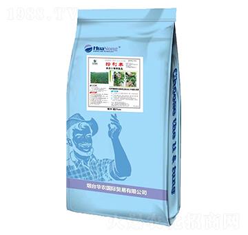 �����S���B(t��i)�����ޏ�-�A�r(n��ng)���H