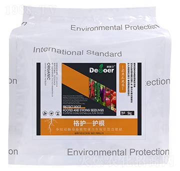 ���o-�o�����ѹ��-�ϸ�