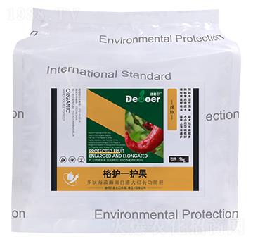 ���o-�o����������-�ϸ�