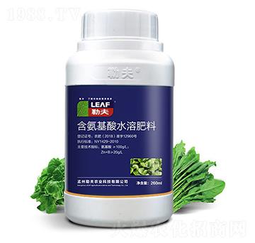 �~���~���-�շ�