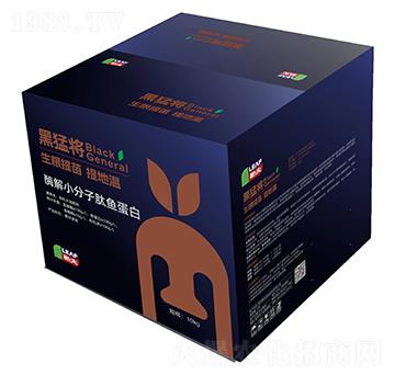 ø��С�������~����-���͌�-�շ�