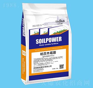 20�|�������ľù��-������-����r(n��ng)�I(y��)