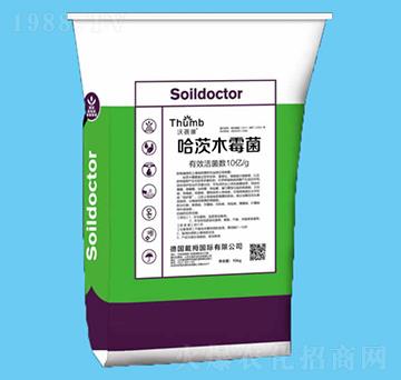 ����ľù����10�|�����-������-����r(n��ng)�I(y��)