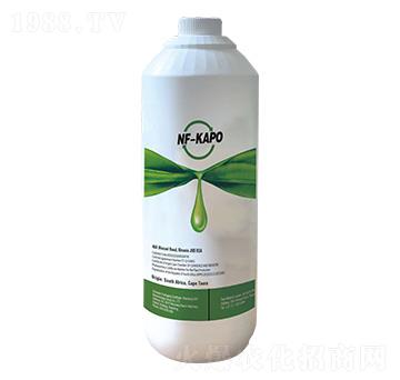 NF-KAPO-���o���x