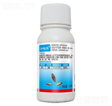 40%߻�x��60g-�Ӽј�-����