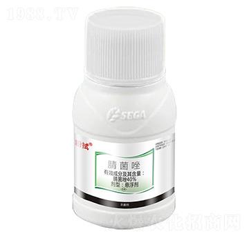 40%�����-����-����