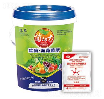 ̼ø���������-������-�sҫ�r(n��ng)�I(y��)