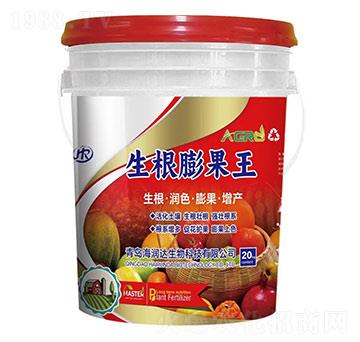 ���������-�����_(d��)����