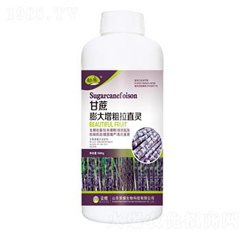 ����������a(ch��n)�أ�ƿ��-����-�sҫ�r(n��ng)�I(y��)