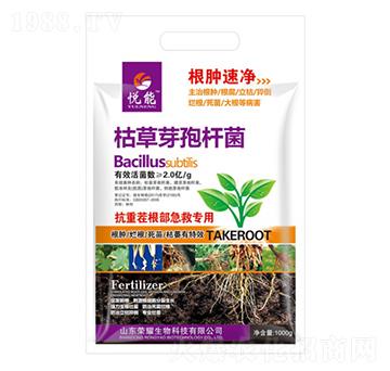 �ݲ�ѿ�ߗU��-����-�sҫ�r(n��ng)�I(y��)