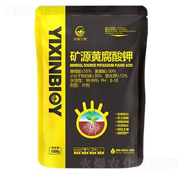 �VԴ�S�����-����������