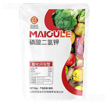 ���W������������-�~�Ș�