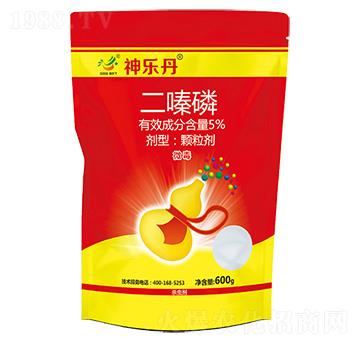 5%�����-��(l��)��-�־��r(n��ng)�I(y��)