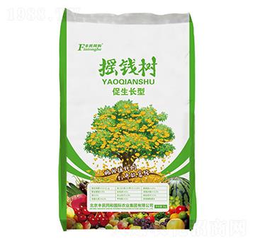 �u�X��(sh��)�����L(zh��ng)��-�͝�(r��n)�r(n��ng)�I(y��)