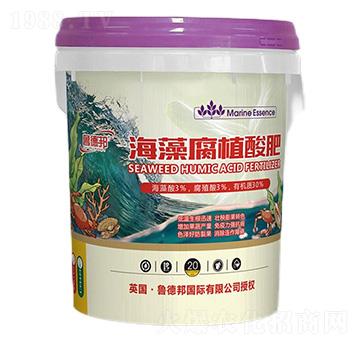 海藻腐植酸肥-魯?shù)掳? />
                                </div>
                            </div>
                            
                            <style type=