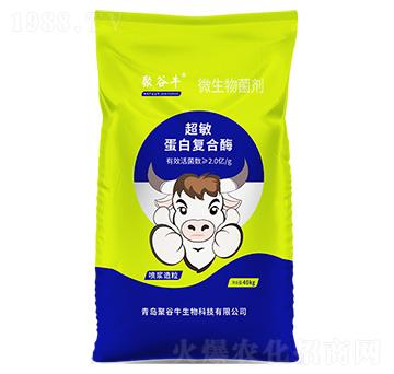 �������׏ͺ�ø΢�������-�۹�ţ