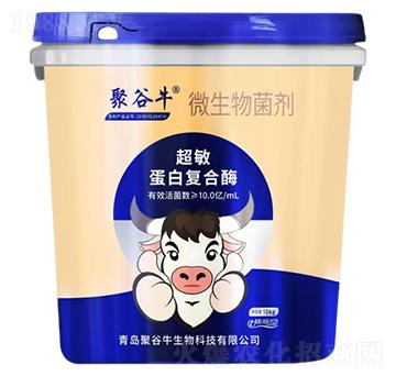 10�|�������׏ͺ�ø΢�������-�۹�ţ