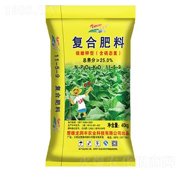 ������͏�(f��)�Ϸ�11-5-9-�����S