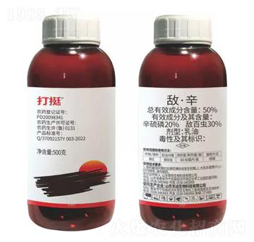 50%����������-��ͦ